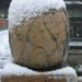雪toこけし