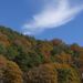 山梨の紅葉