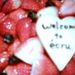 berry&berry
