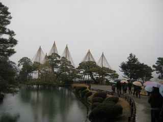 IMG_0800