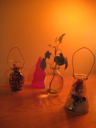 IMG_0637