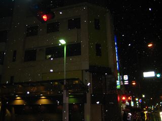 IMG_0704