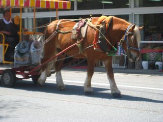 IMG_1128