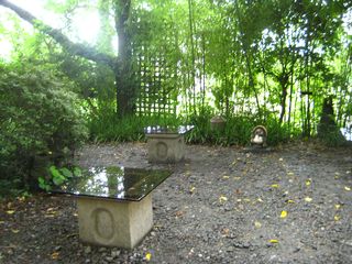 IMG_1213