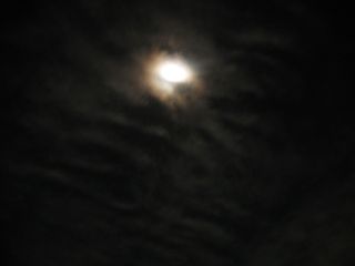 IMG_0060 IMG_0060