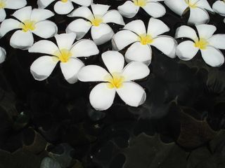 DSC01029