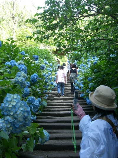 Cimg4567_3