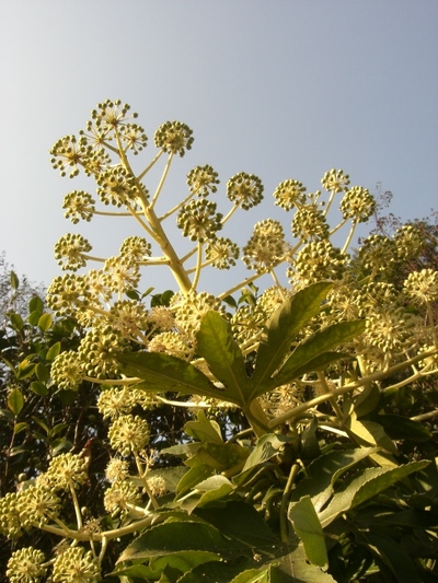 Cimg7241_2