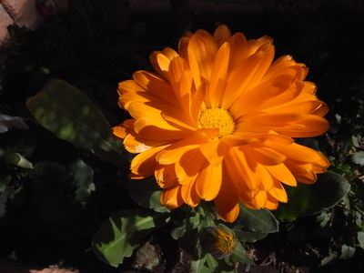 R0012058