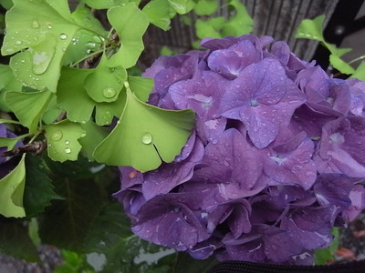 R0013089