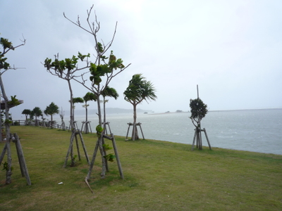 P1000627
