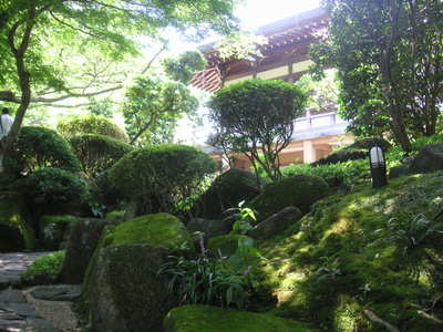 Pict0491_3
