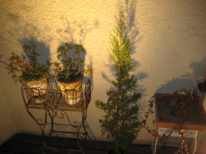 Img_0047_5