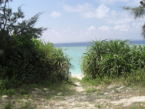 Cimg0910