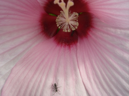 花の丘公園