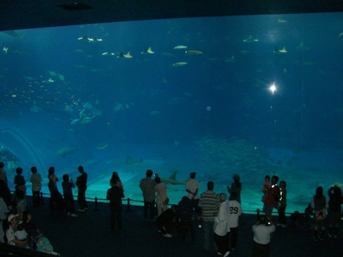 okinawa