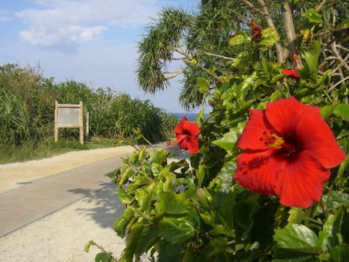 okinawa