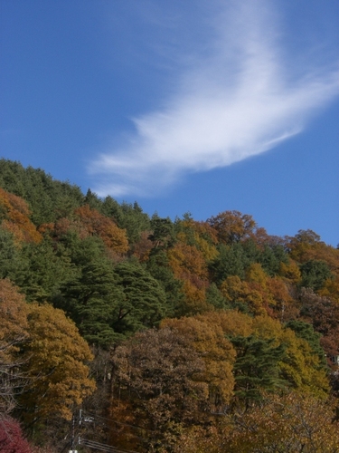 山梨の紅葉