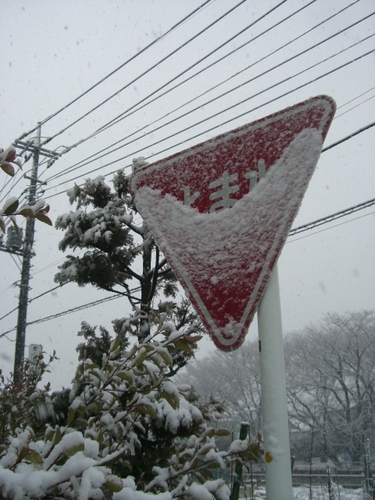 雪の日