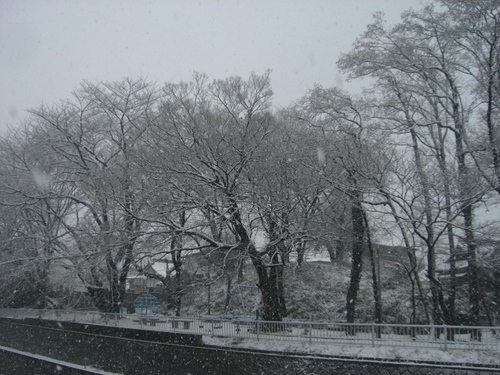 雪の日