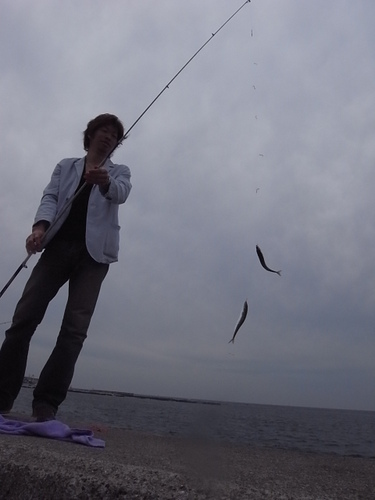 釣り