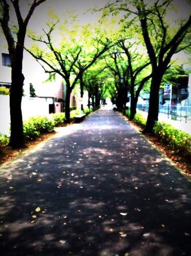 michi